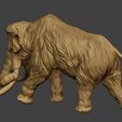 Mammoth-P2-0004.jpg Mammoth P2