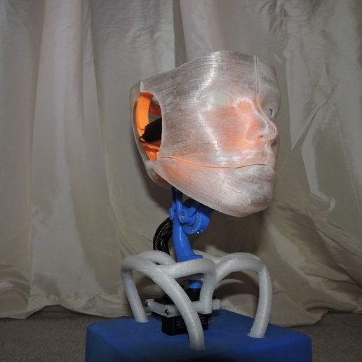 DSCN2593_display_large.JPG Animated Humanoid Robot Head
