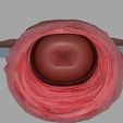 uterus-3d-model-obj-3ds-fbx-blend-6.jpg Uterus human 3D model