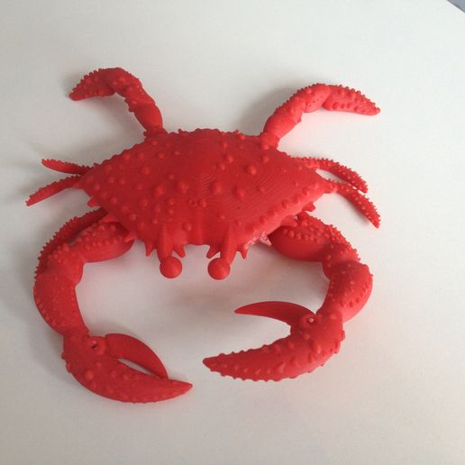Crap 3D model preview