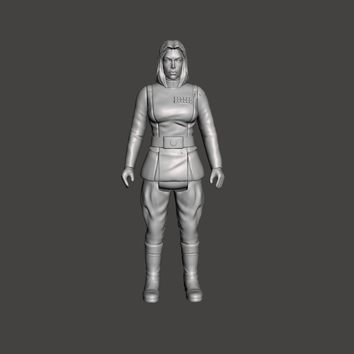 Screenshot-1811.png MADAME DIRECTOR YSANNE ISARD FIGUR, WEIBLICHER IMPERIALER GEHEIMDIENSTOFFIZIER, VINTAGE CUSTOM STAR WARS, ACTION FIGUR, KENNER 3.75", 6", 5 POA, 1/18, 1/6 IMPERIUM, COMIC, BUCHFIGUR