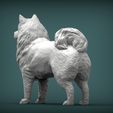 Samoyed-dog4.jpg 3D-Datei Samojeden Hund 3D-Druck Modell・3D-Druckvorlage zum Herunterladen