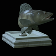 zander-open-mouth-tocenej-6.png fish zander / pikeperch / Sander lucioperca trophy statue detailed texture for 3d printing