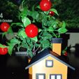 IMG_20231029_222438.jpg Miniature House with Lighting
