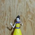 M3.jpeg Chi-chi Gelenkfigur