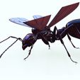 pkjh.jpg ANT - DOWNLOAD ANT 3d Model - animated for Blender-Fbx-Unity-Maya-Unreal-C4d-3ds Max - 3D Printing ANT ANT - INSECT - POKÉMON - BUG - DINOSAUR - DRAGON - BEE