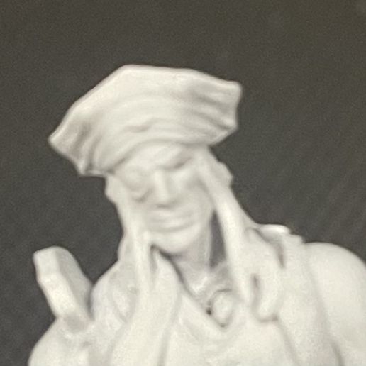 FBAA98FE-A5C9-4900-B6C7-702307E3C317.jpeg Captain O'Malley Pirate Swashbuckler Rapier D&D Captain One piece Tabletop Eye patch