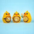 Chicken2.jpg Chucky, the Baby Chicken – Your Sweetest Easter Buddy