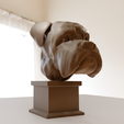 9.png Boxer bust statue stl