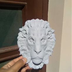 cabeza de león