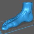 Foot-Vase-Moad-STL-1.jpg Foot Vase Vase - Foot Penholder - Pies Pies Macetero - Anatomical Sculpture