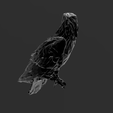 Screenshot_18.png Low Poly - Noble Eagle Magnificent Design