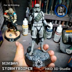 finale.jpg STL file Stormtrooper Mimban Star Wars・3D print object to download