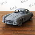 3D-Printed-Gullwing-cover.png 梅赛德斯-奔驰 300SL Gullwing