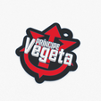 2021-11-21.png Prince Vegeta Keychain