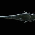 Catfish-Europe-26.png FISH WELS CATFISH / SILURUS GLANIS solo model detailed texture for 3d printing