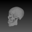 snapshot02.png Vulcan Skull