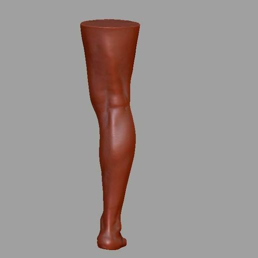 🦵 Human leg and foot・ STL File for 3D printing・Cults