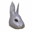 Rabbit_mask_02.jpg Rabbit mask