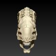 13.jpg ALIEN VS PREDATOR SKULL PACK