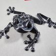 Cute Flexi Print-in-Place Frog, jacobglikman