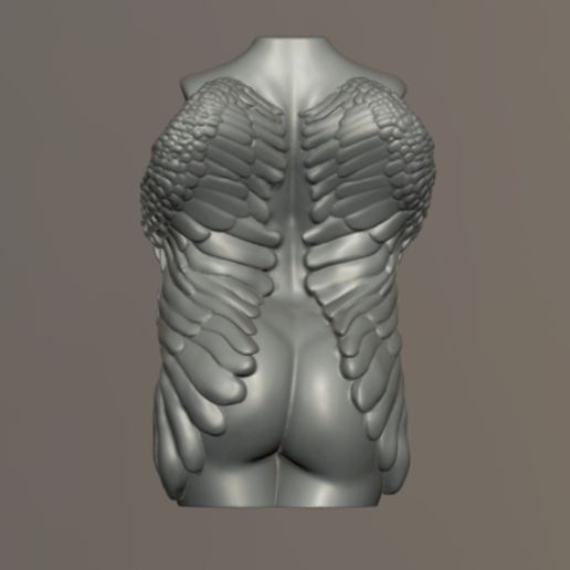 Wing_fem_torso_5.jpg Torso feminino com asas