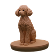poodle_1.png Poodle Miniature/Statue
