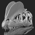 dilophosaurus-skull-part-2-2-3d-printing-238747.png Dilophosaurus Skull
