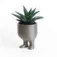 Capture d’écran 2017-02-21 à 17.41.14.png STL-Datei Space Explorer reworked Planter kostenlos・3D-druckbares Objekt zum herunterladen