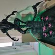 IMG_20200826_200419.jpg Alien Xenomorph Modelo de impresión 3D Modelo de impresión 3D
