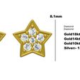01.jpg Star Stud Earring
