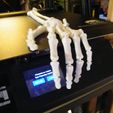 DSCF8967.jpg halloween hand-articulated SQUELETTE TO PRINT ON PLACE