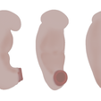 3_Weeks_Diffuse_Color.png 3D file 3 Weeks Human embryonic (baby stages)・3D printer design to download