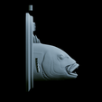 Dentex-head-trophy-34.png fish head trophy Common dentex / dentex dentex open mouth statue detailed texture for 3d printing