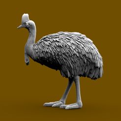 3324234234.jpg STL-Datei Kasuar・Modell zum Herunterladen und 3D-Drucken