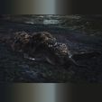 Untitled-1.jpg Rotten Slug - Dark Souls 3
