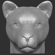 2.jpg Lioness head for 3D printing