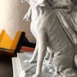 91583458_2858153357603942_4202480513924988928_n.jpg 3D Printing Bernini Proserpina Full Statue