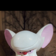IMG_5178.png Brain (Animaniacs)