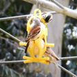 SuetFeeding.jpg STL file Bird Suet Feeder - 2020・3D printing design to download