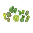 Potted-Cacti-unpotted-cacti.jpg Smallscale cacti