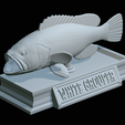 White-grouper-open-mouth-statue-62.png fish white grouper / Epinephelus aeneus open mouth statue detailed texture for 3d printing