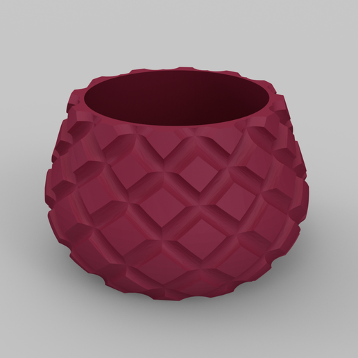 Succulent Pot - 3D model önizlemesi