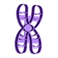 Xchrom.stl Cookie Cutter chromosome X and Y