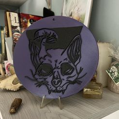 IMG_5788.jpeg Cat Skull #3