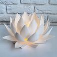 2.jpg Nymphaea Siam Blanco - Luz de noche LED Modelo de impresión 3D 🌸