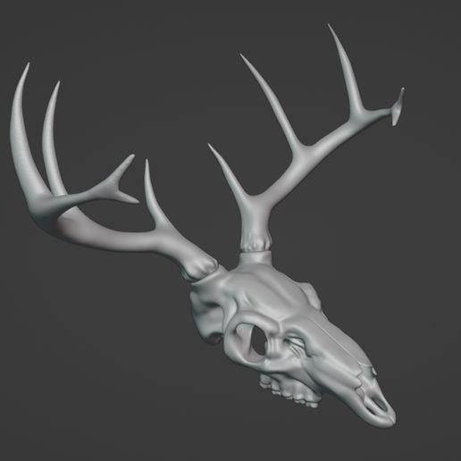 ScreenShot002.jpg Deer Skull