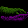 8.png Modelo de impresión 3D del cráneo del Purussaurus