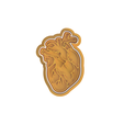 Heart.png Body Organs Cookie Cutter Set of 6