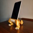 20230120_222642.jpg charizard phone